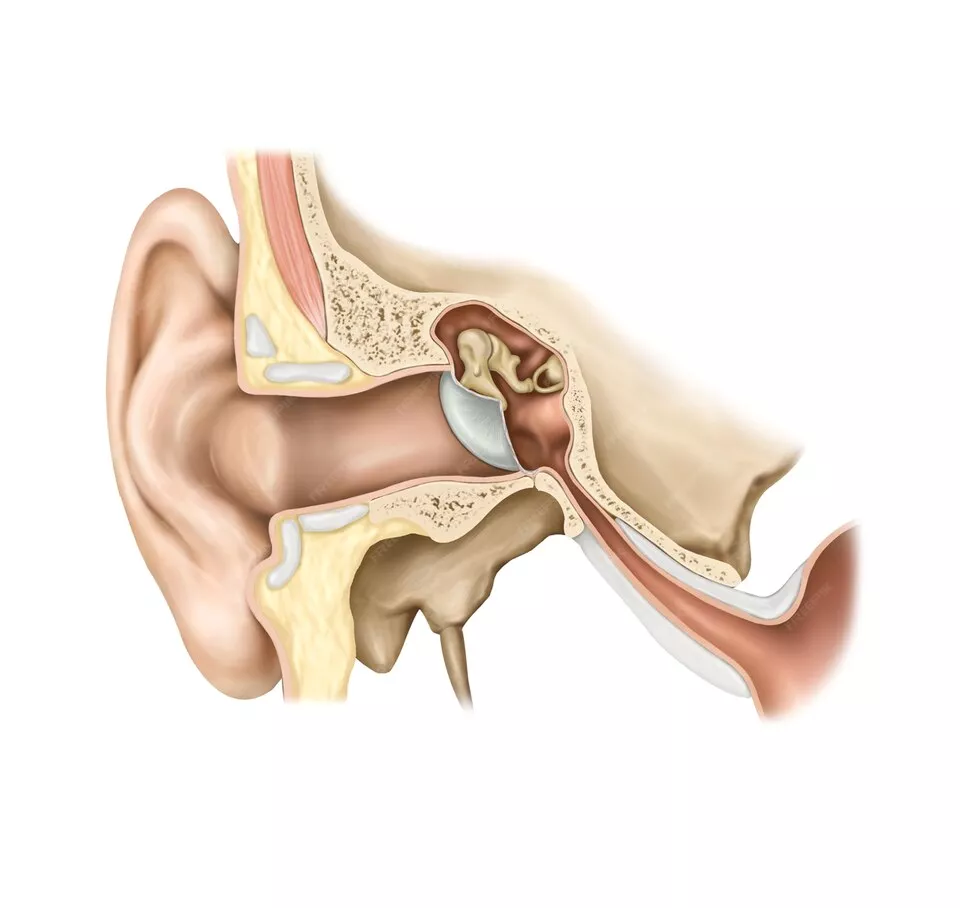 آسیب‌های گوش میانی